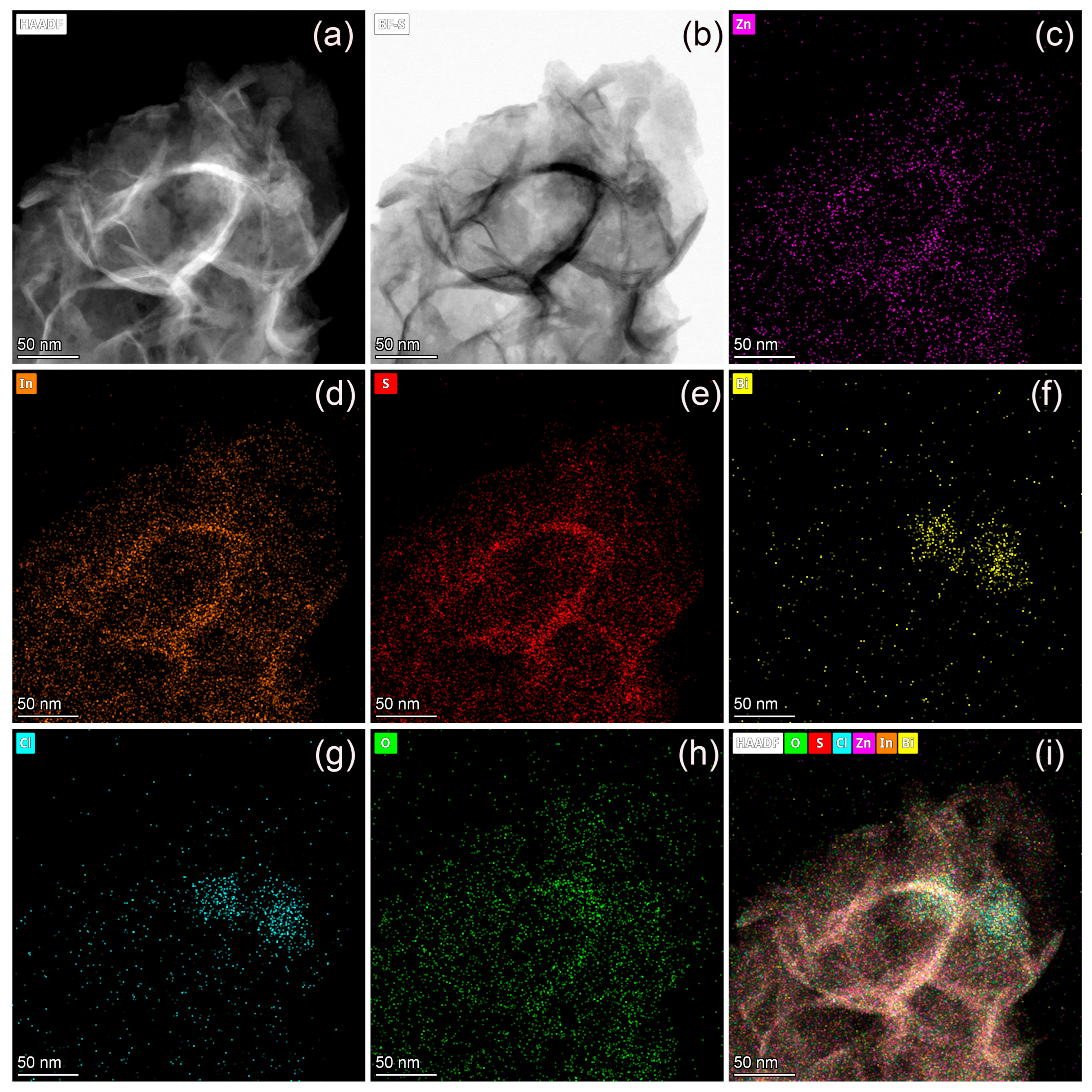 Molecules 31 02843 g006 Molecules 31 02843 g006