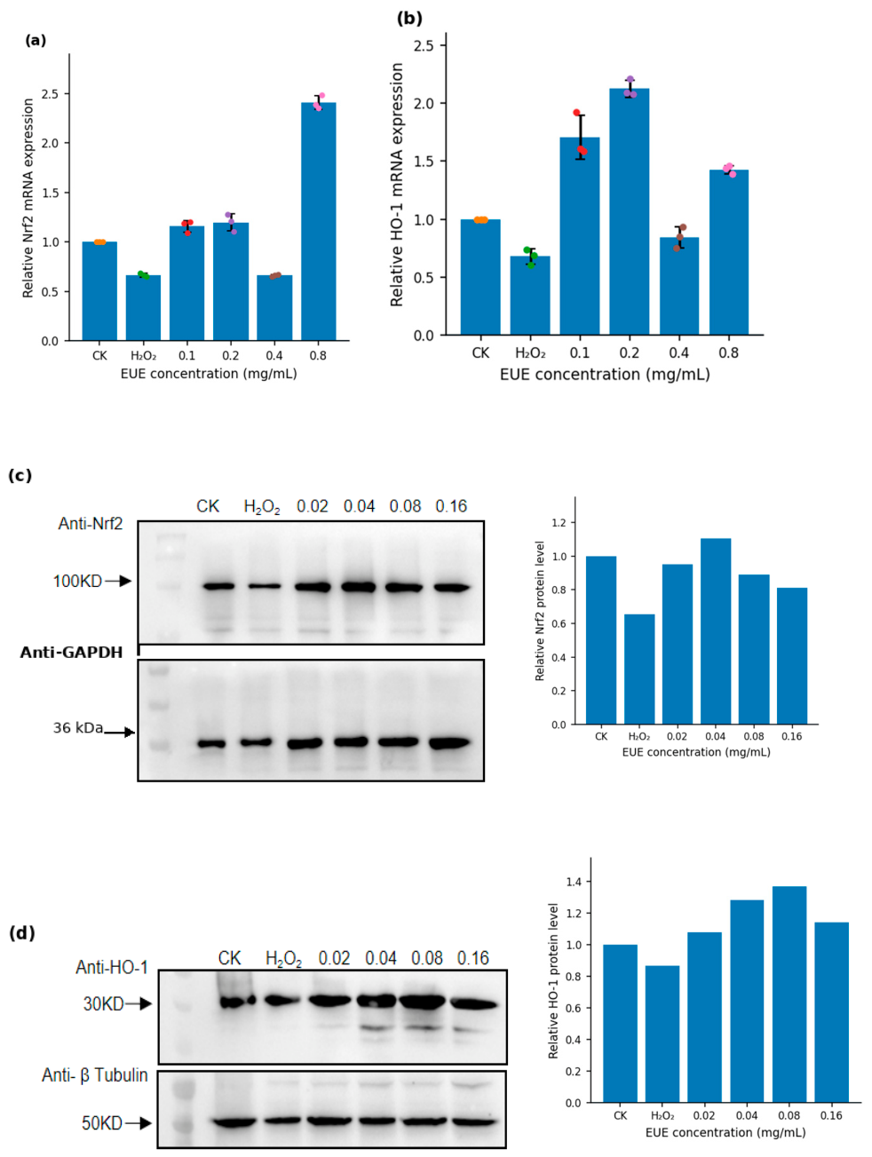 Molecules 31 02863 g002 Molecules 31 02863 g002