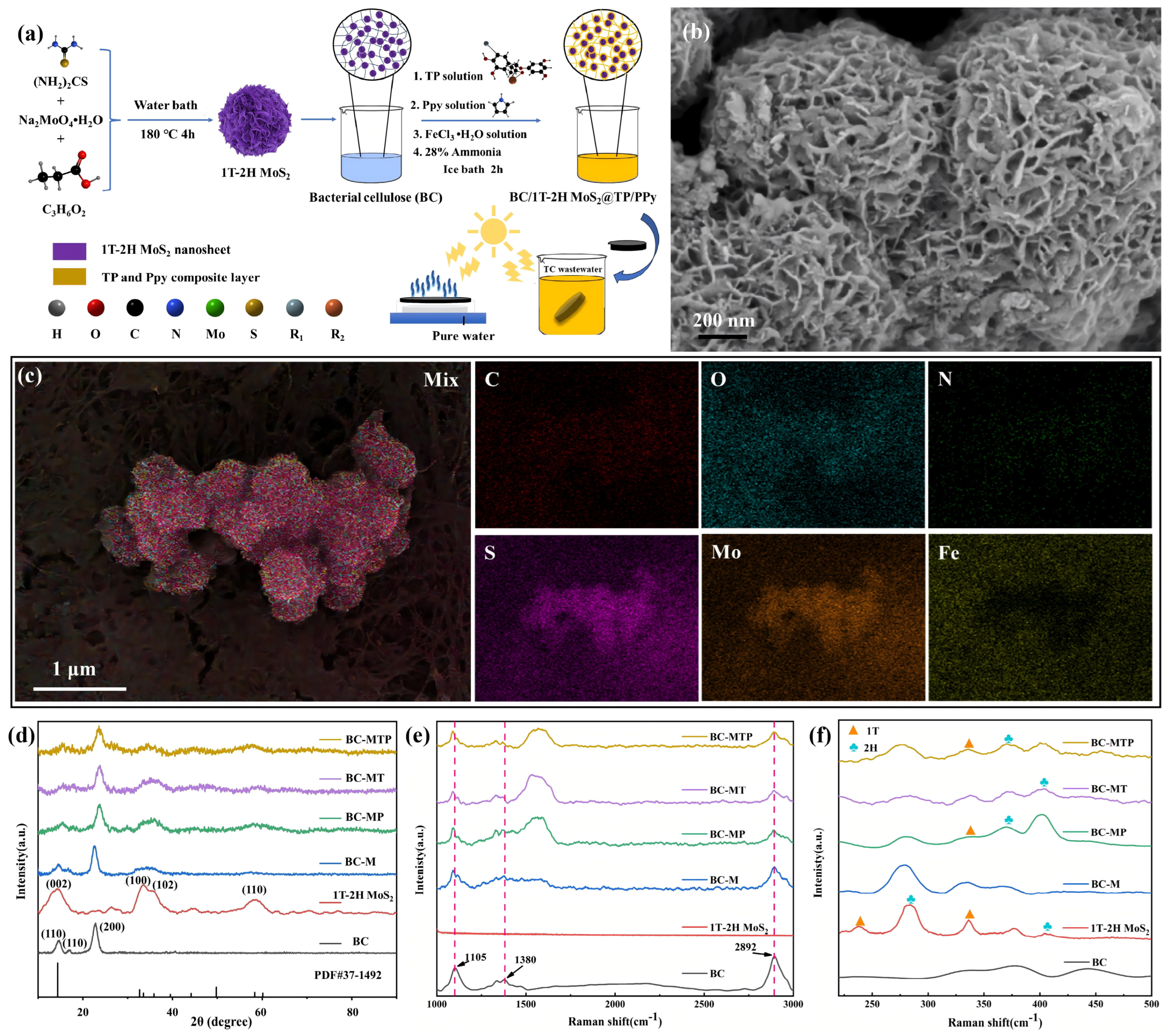 Molecules 31 02878 g001 Molecules 31 02878 g001