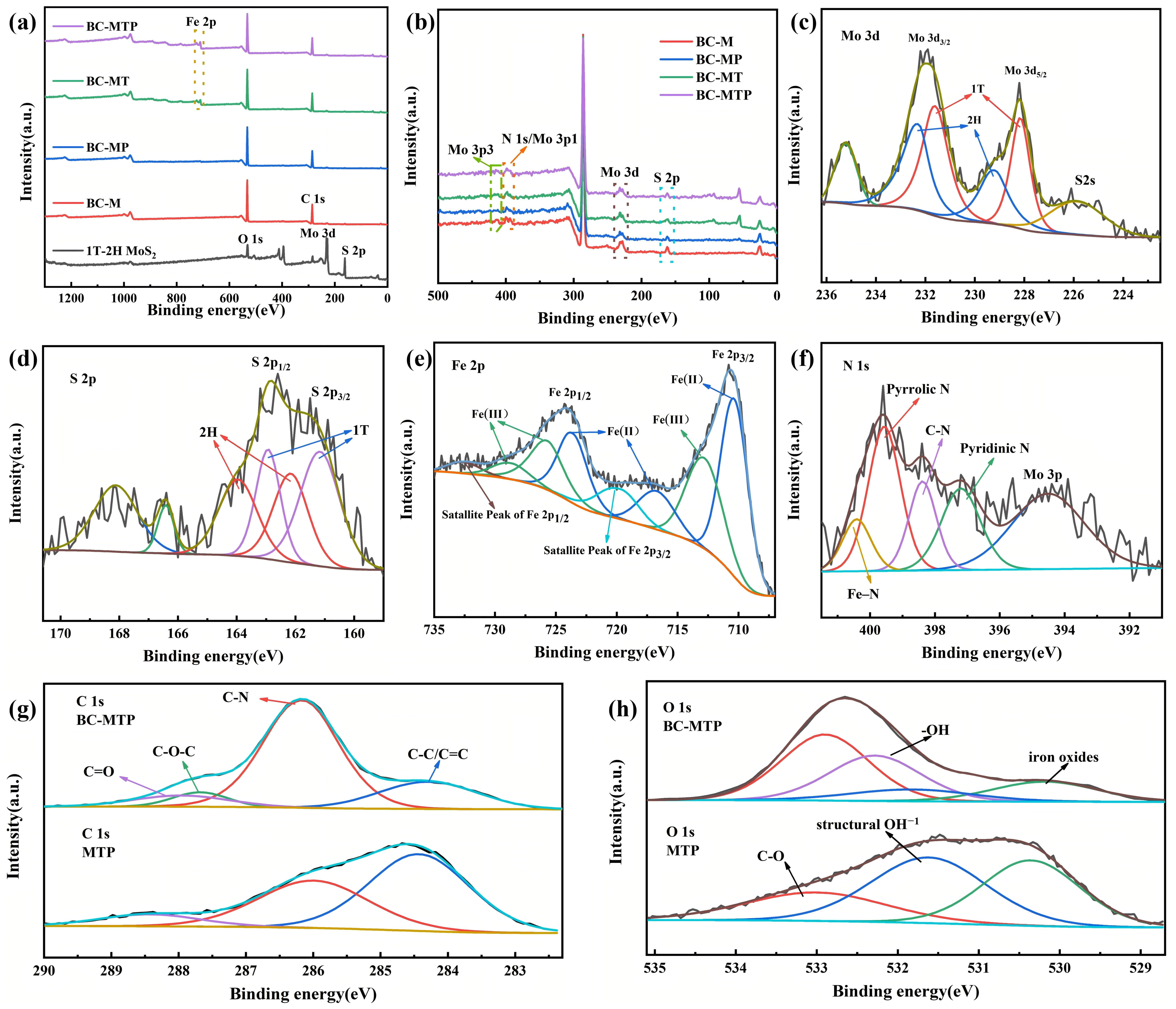 Molecules 31 02878 g002 Molecules 31 02878 g002