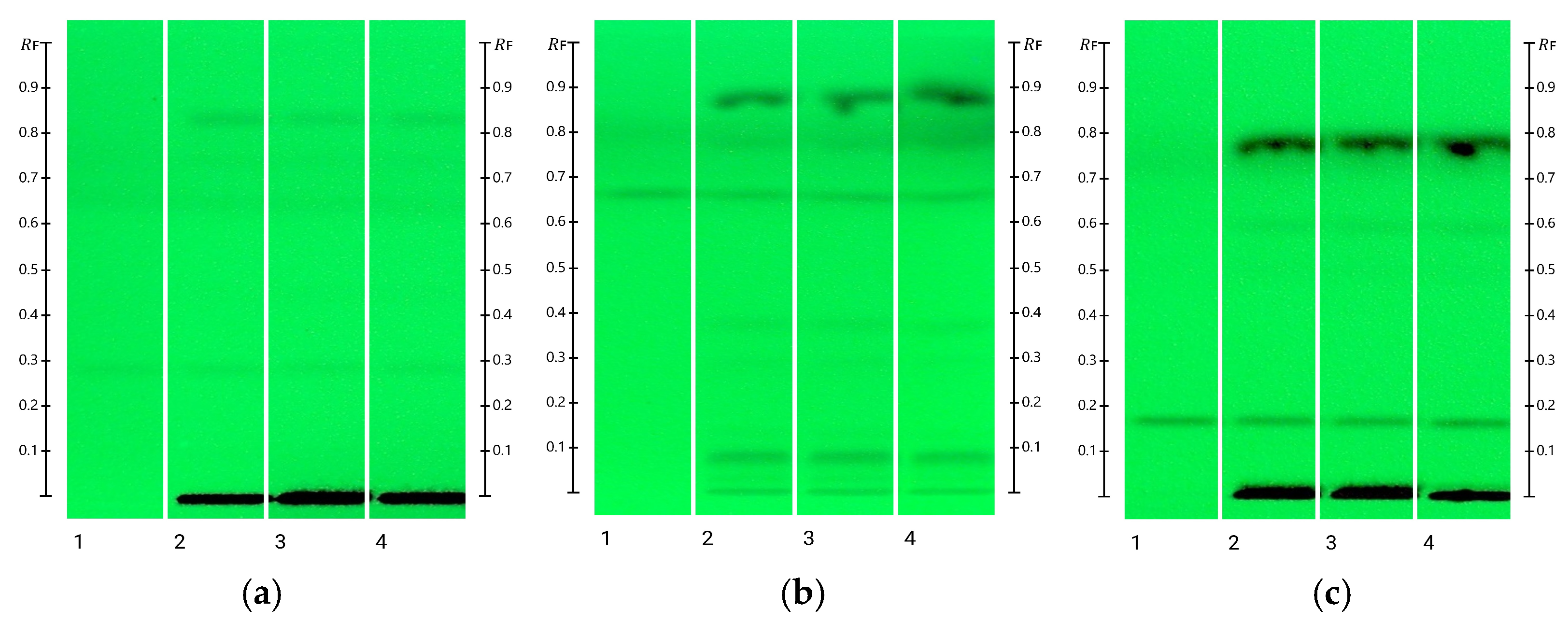 Molecules 31 02904 g002