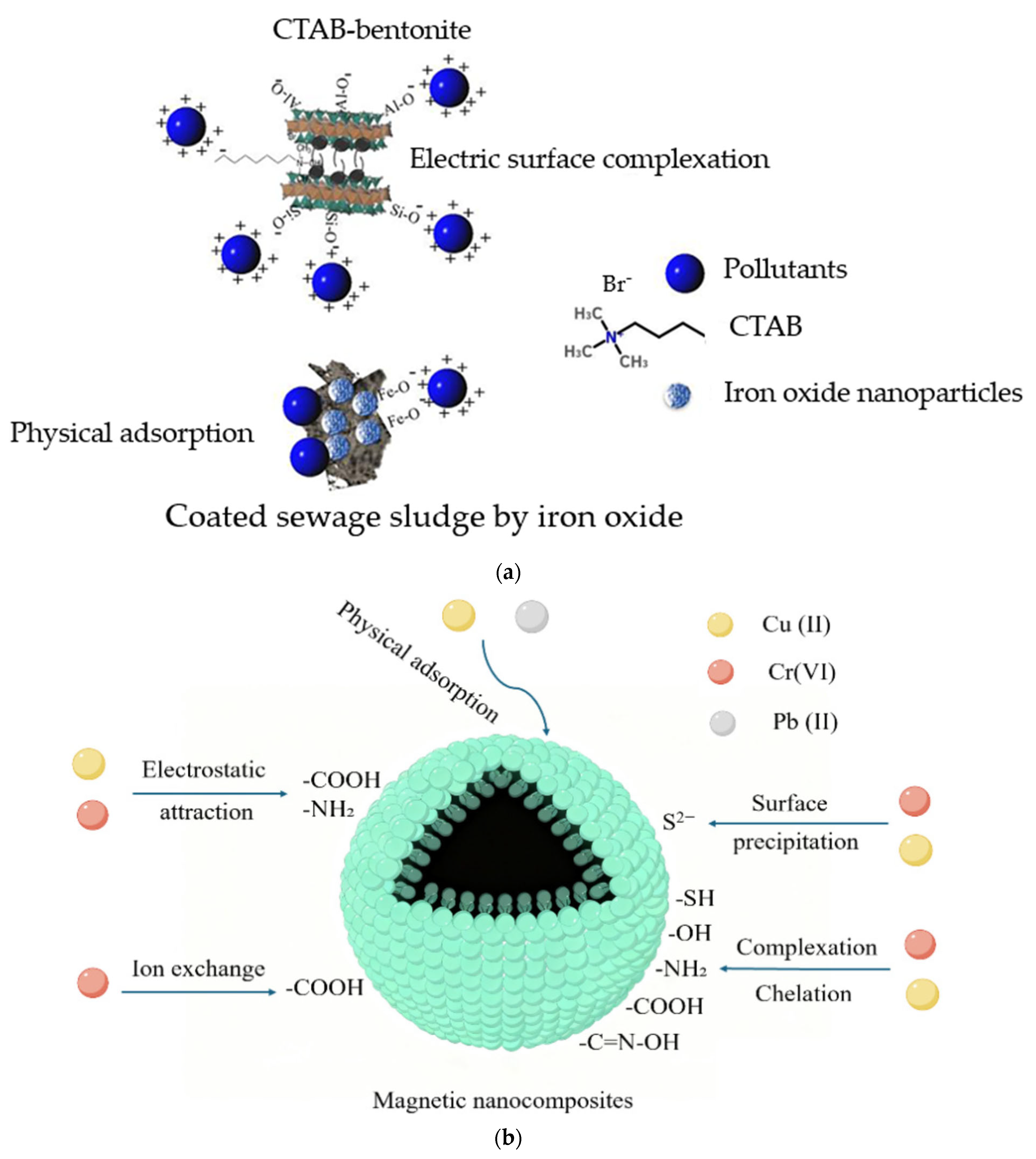 Molecules 31 02905 g008 Molecules 31 02905 g008