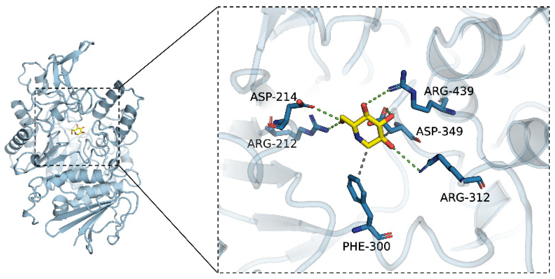 Molecules 31 02907 g008
