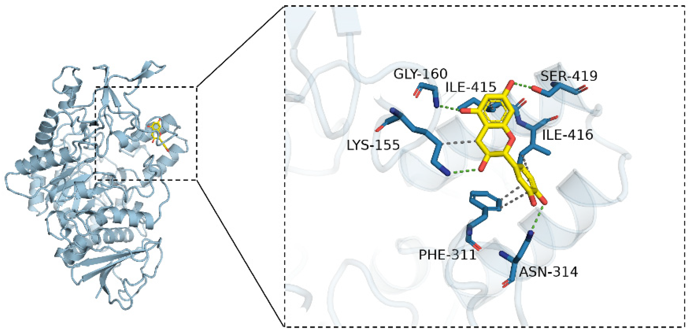 Molecules 31 02907 g009