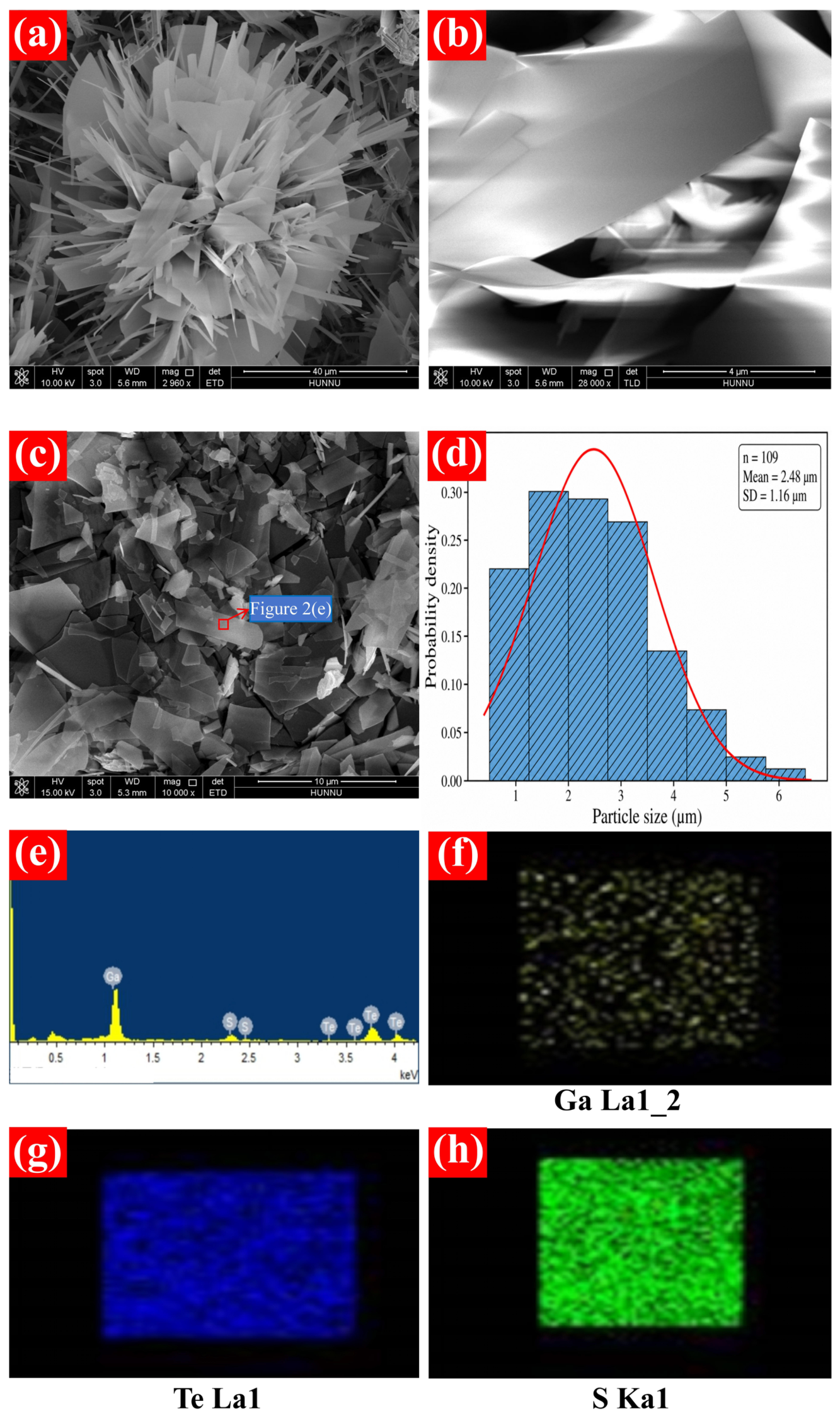 Molecules 31 02912 g002