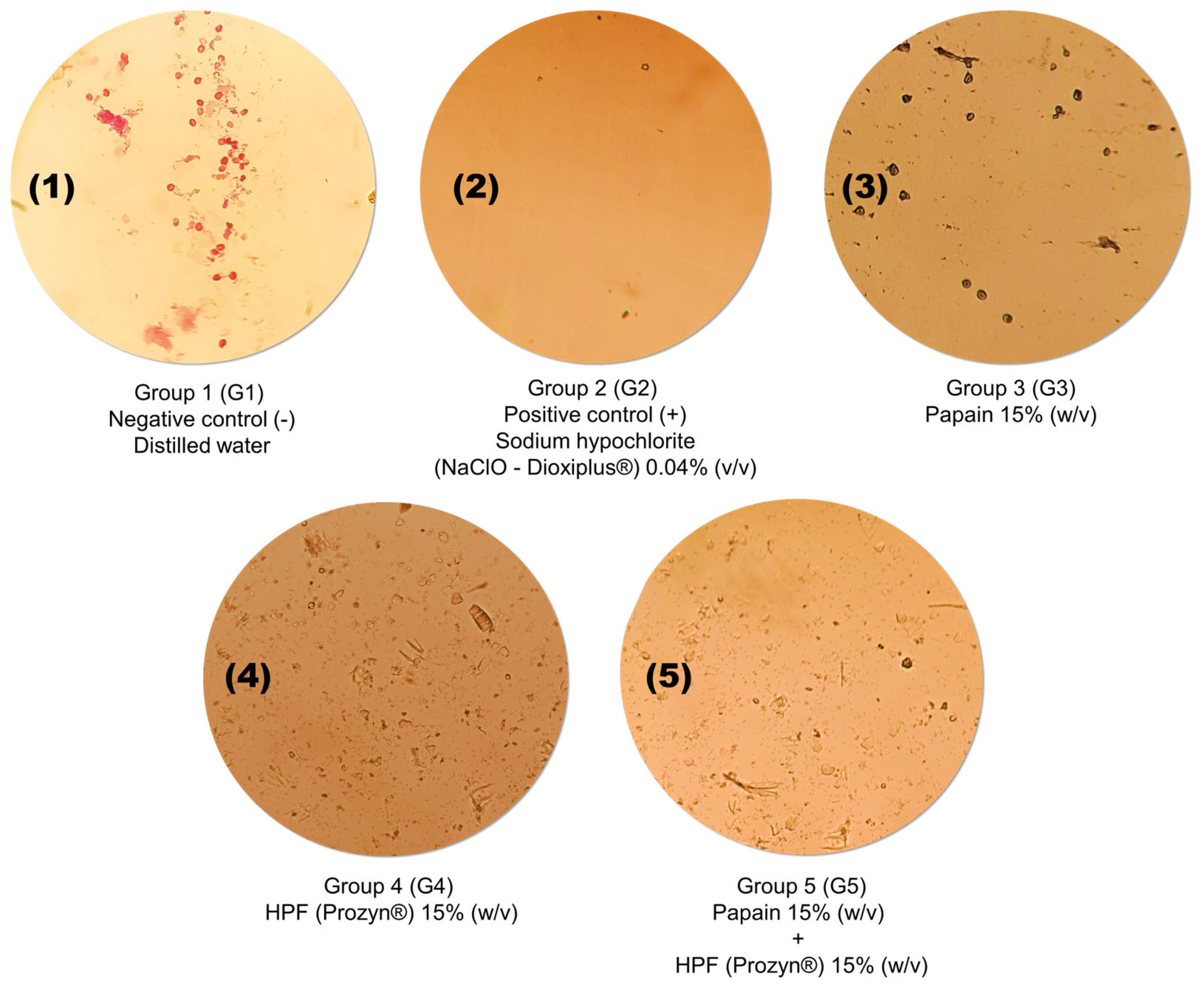 Molecules 31 02919 g003 Molecules 31 02919 g003