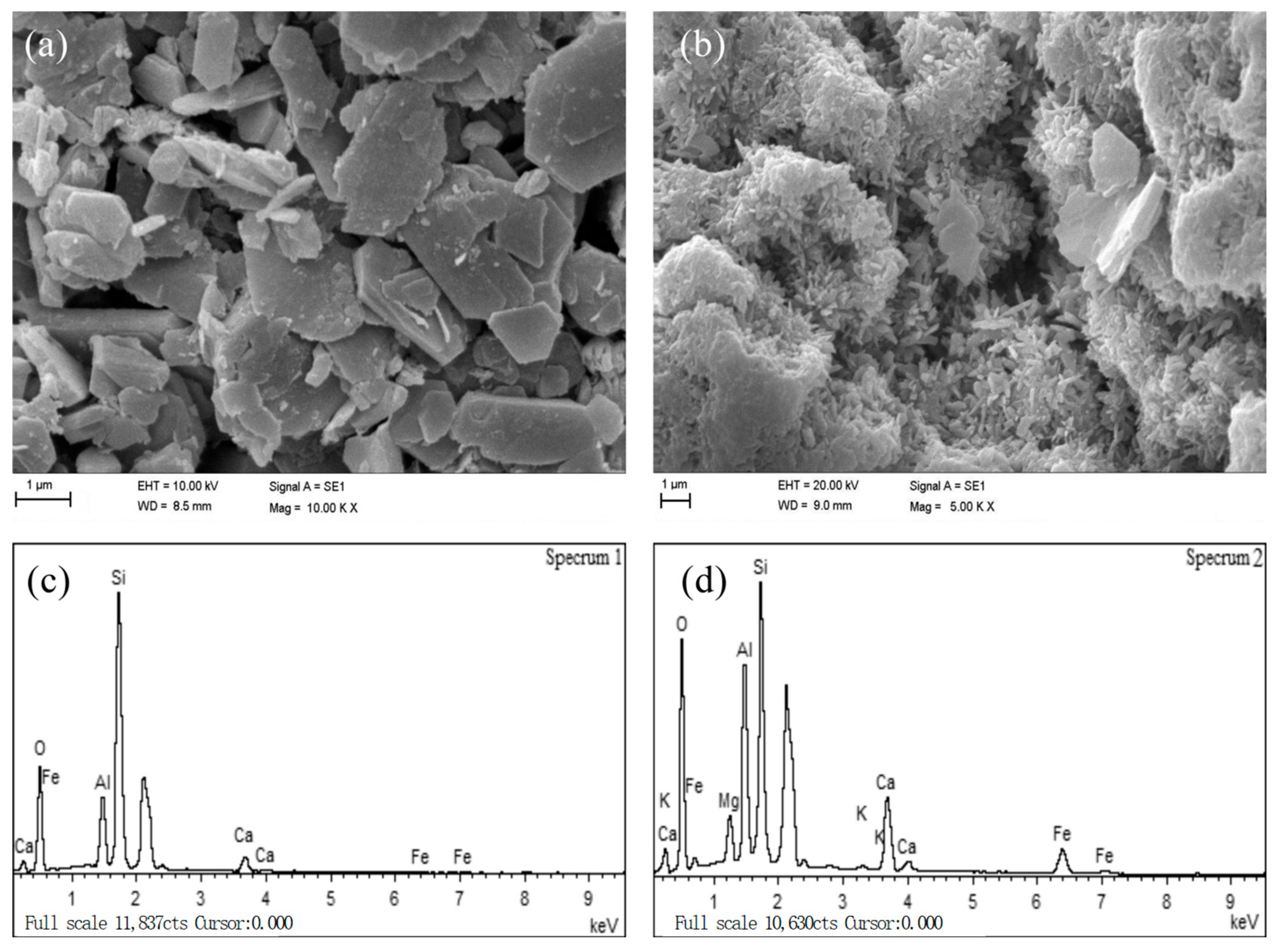 Molecules 31 02926 g001