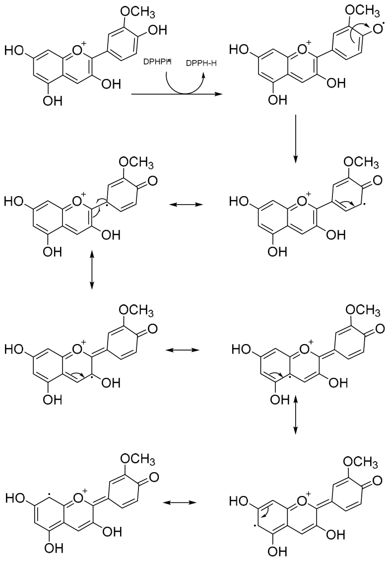 Molecules 31 02931 g004 Molecules 31 02931 g004
