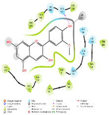 Molecules 31 02931 i001 Molecules 31 02931 i001