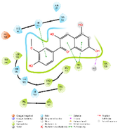 Molecules 31 02931 i005 Molecules 31 02931 i005