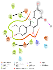 Molecules 31 02931 i017 Molecules 31 02931 i017
