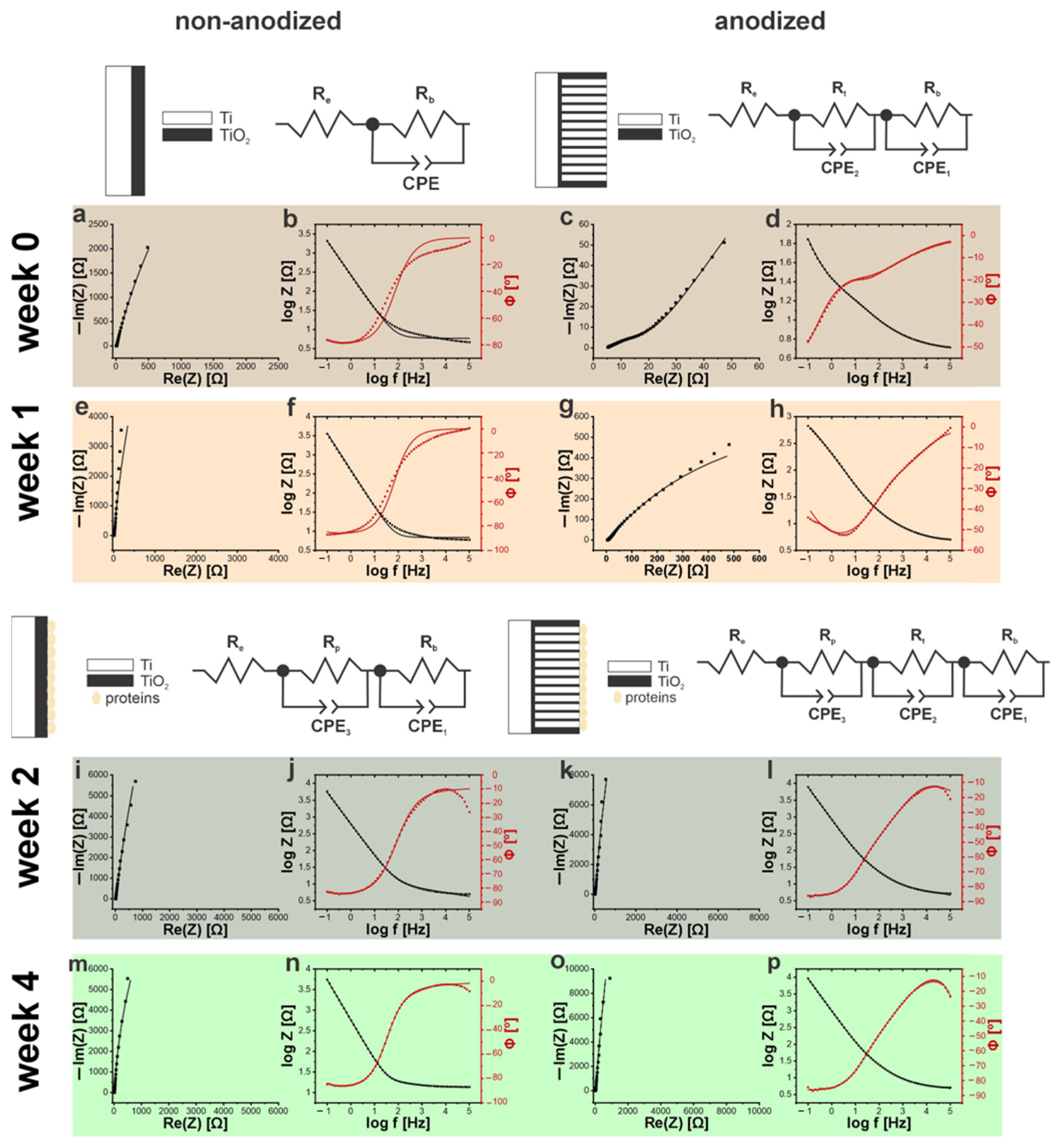 Molecules 31 02959 g004