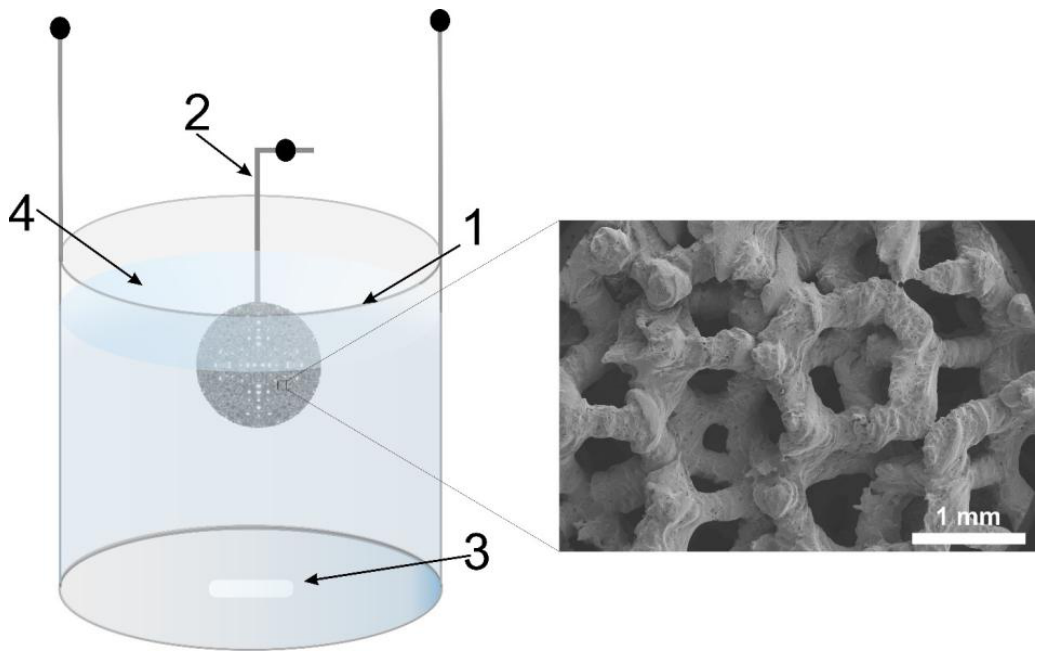 Molecules 31 02959 g006