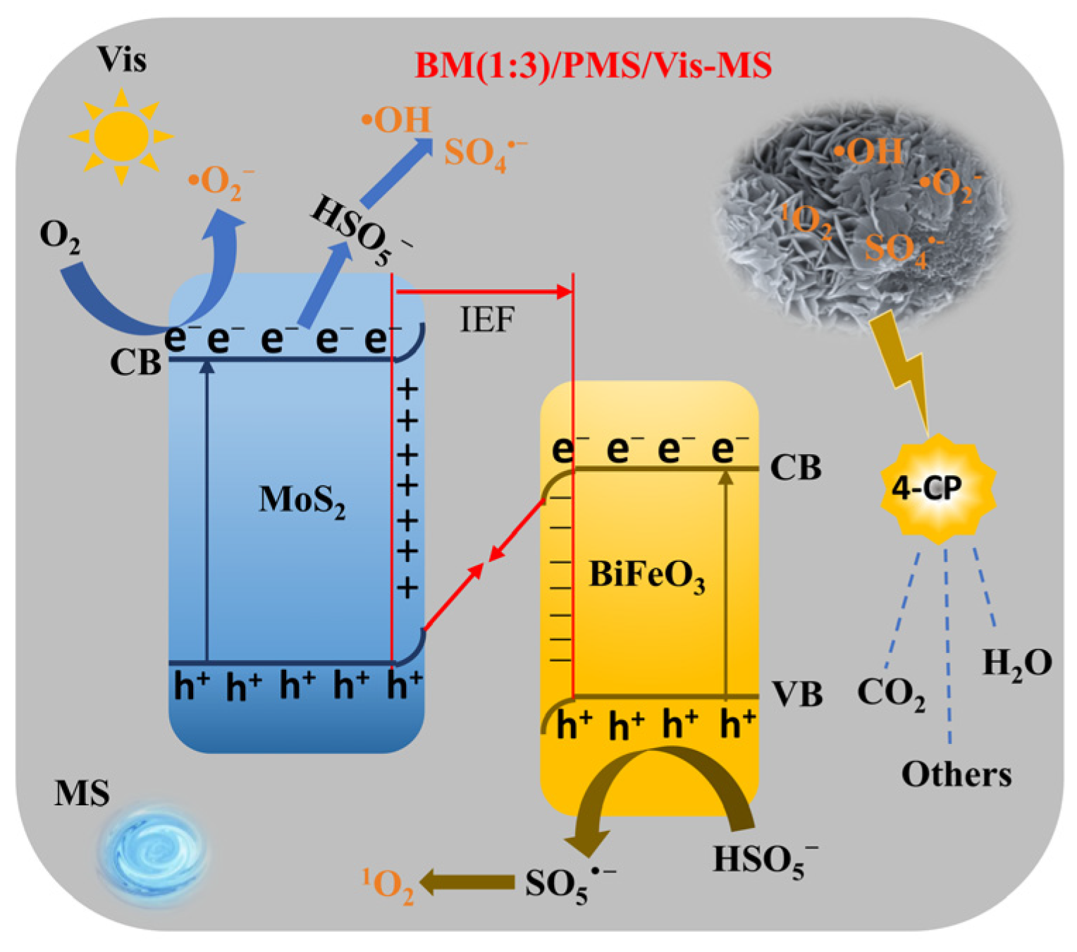 Molecules 31 02987 g005 Molecules 31 02987 g005