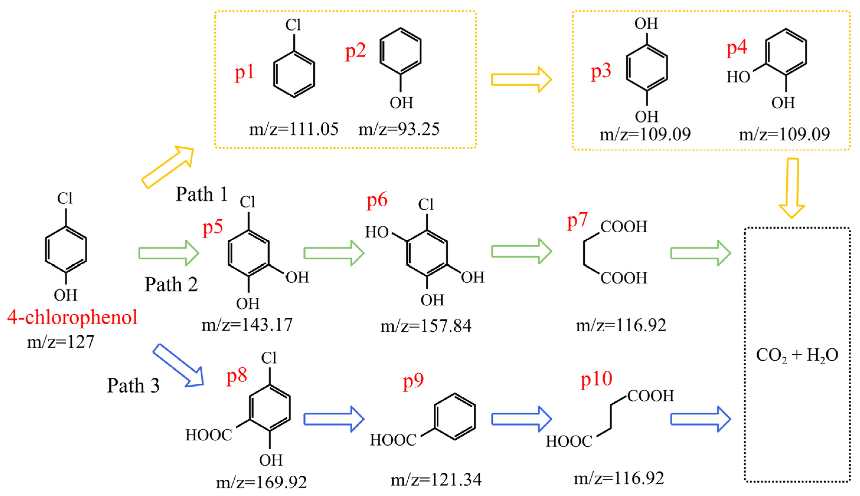 Molecules 31 02987 g008 Molecules 31 02987 g008