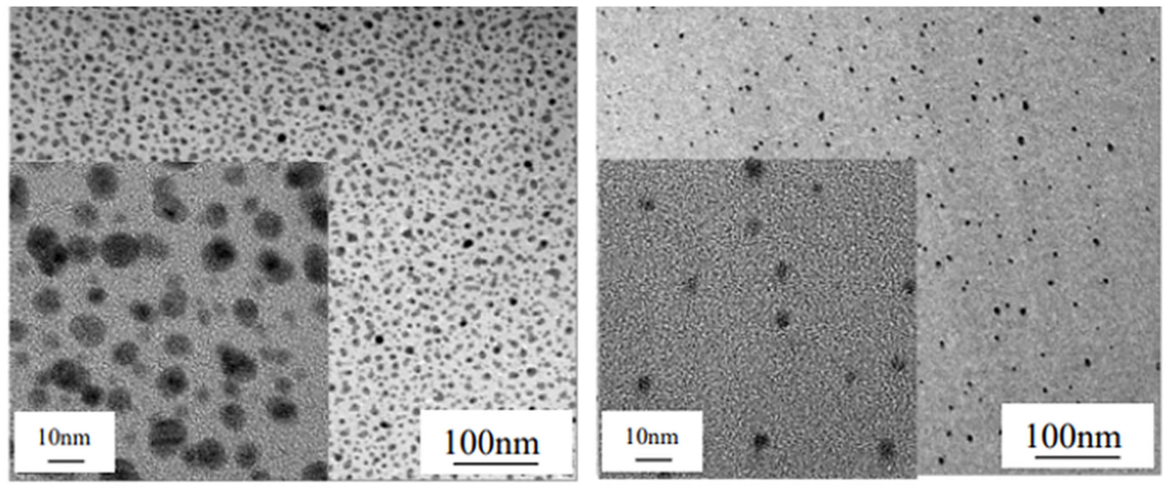 Molecules 31 03007 g003 Molecules 31 03007 g003