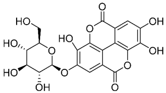 Molecules 31 03074 i005 Molecules 31 03074 i005