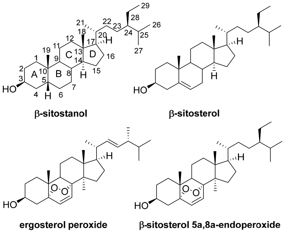 Molecules 31 03105 g001 Molecules 31 03105 g001