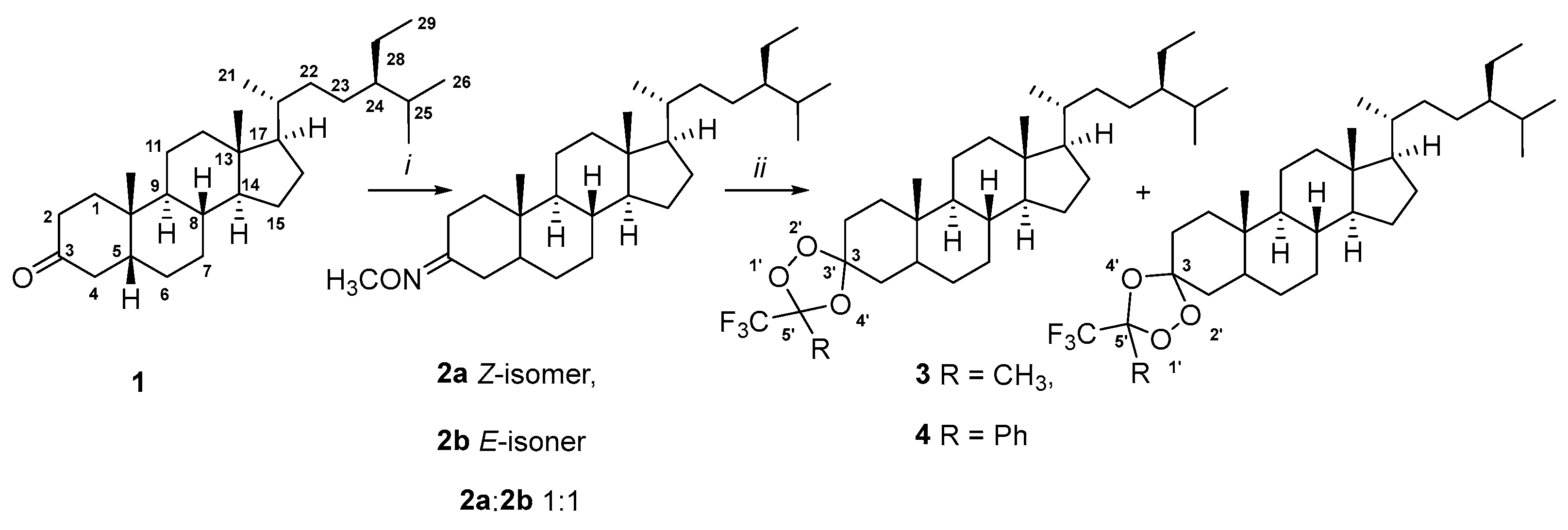 Molecules 31 03105 sch001 Molecules 31 03105 sch001
