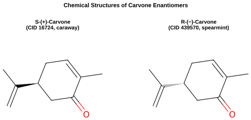 Molecules 31 03106 g001 Molecules 31 03106 g001