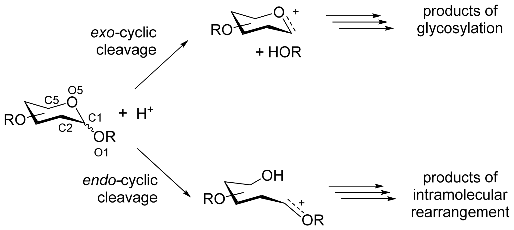 Molecules 31 03145 g001