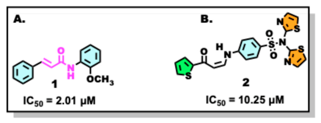 Molecules 31 03147 g001