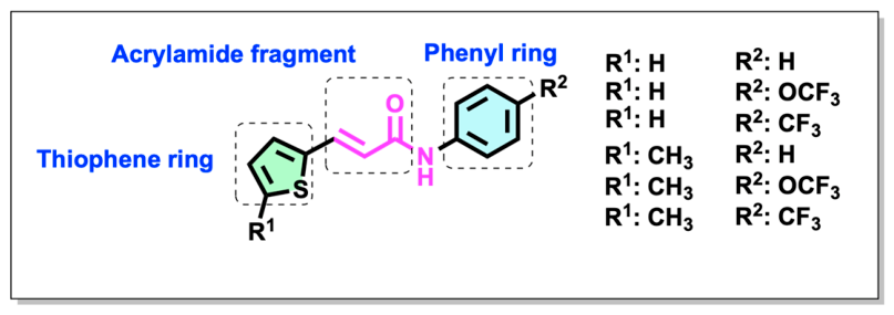 Molecules 31 03147 g002