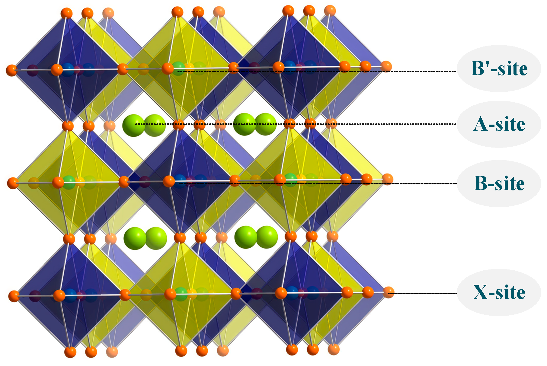 Molecules 31 03175 g008