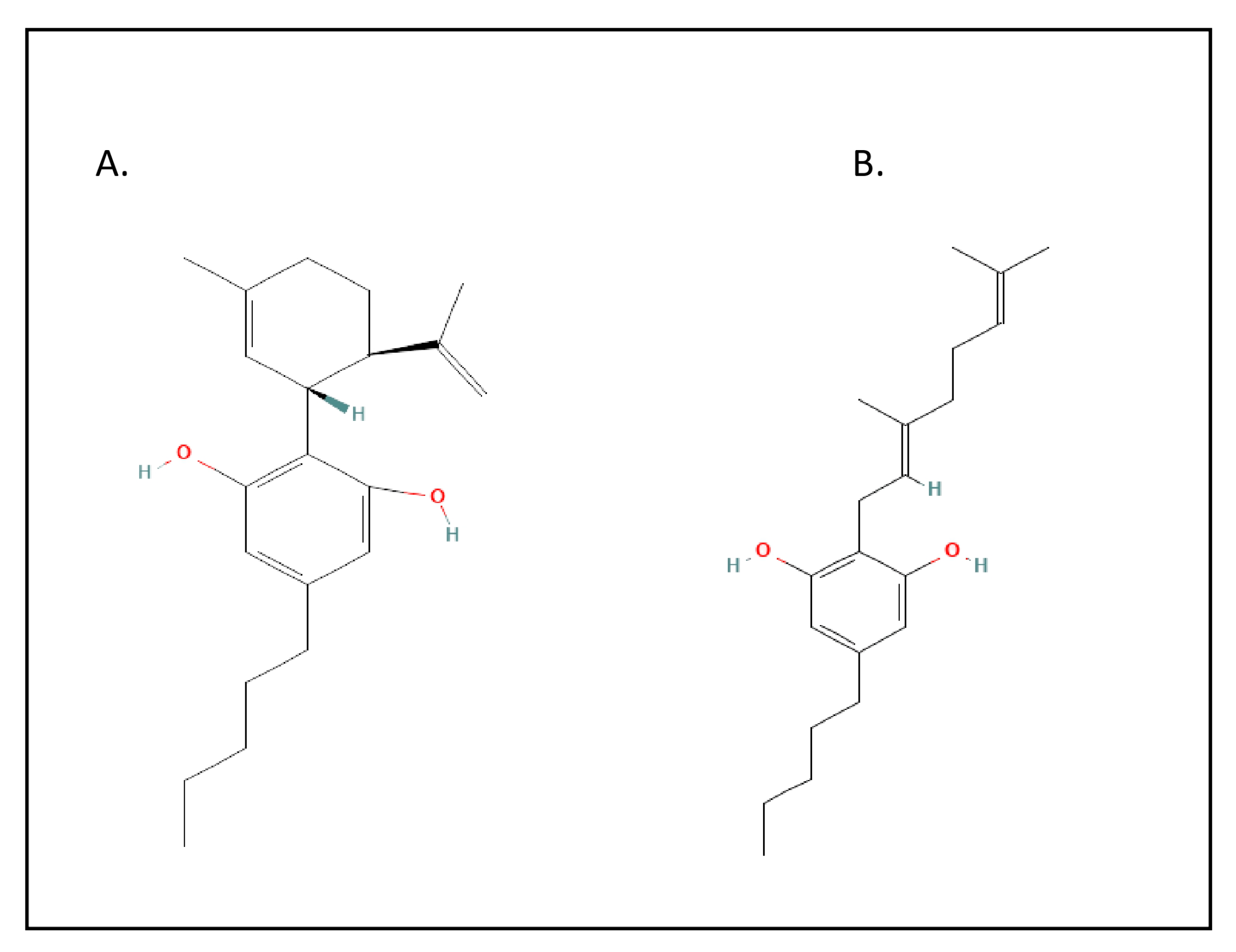 Molecules 31 03206 g001 Molecules 31 03206 g001