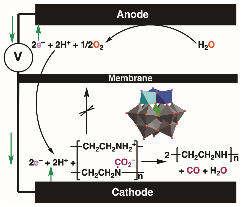 Molecules 31 03276 g001