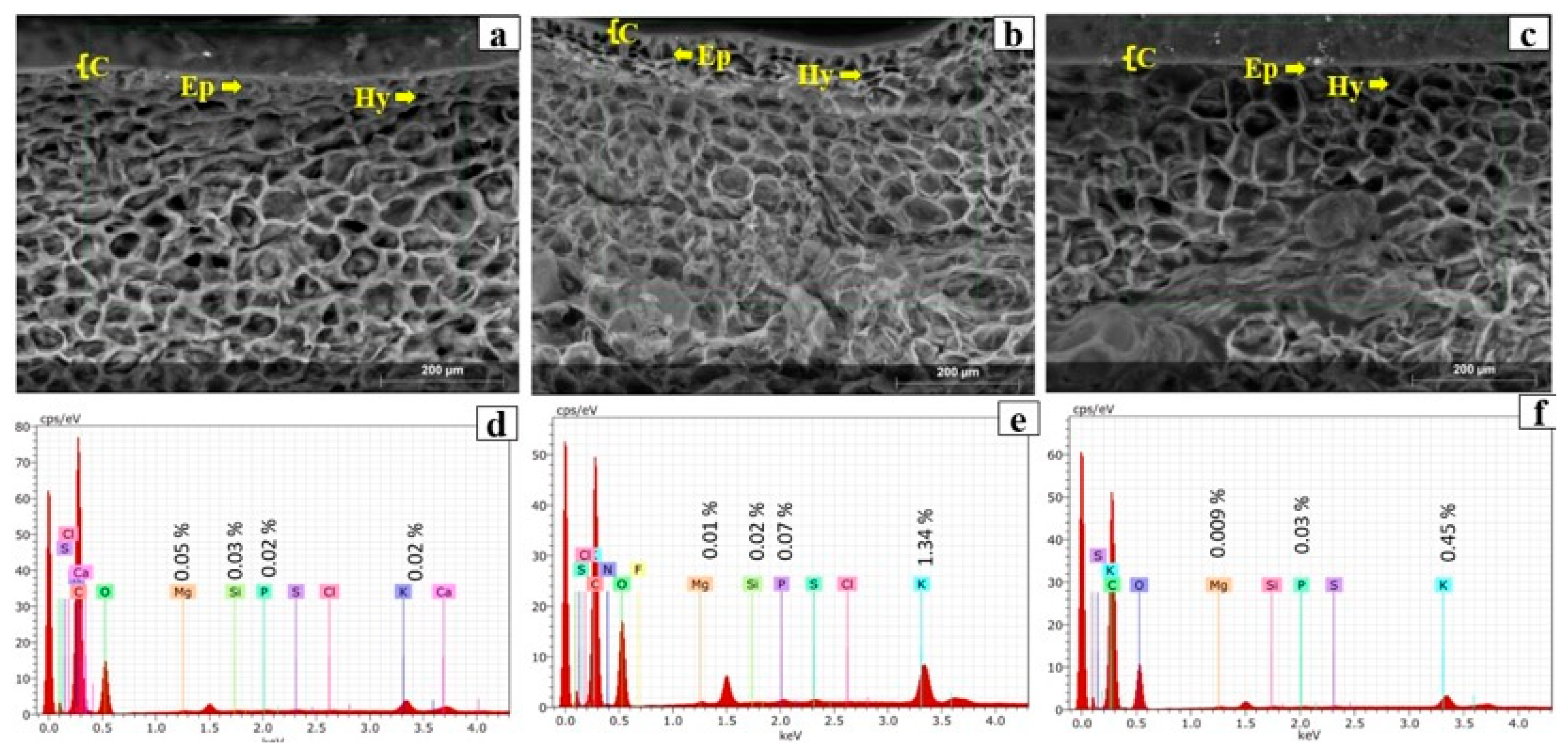 Molecules 31 03280 g001