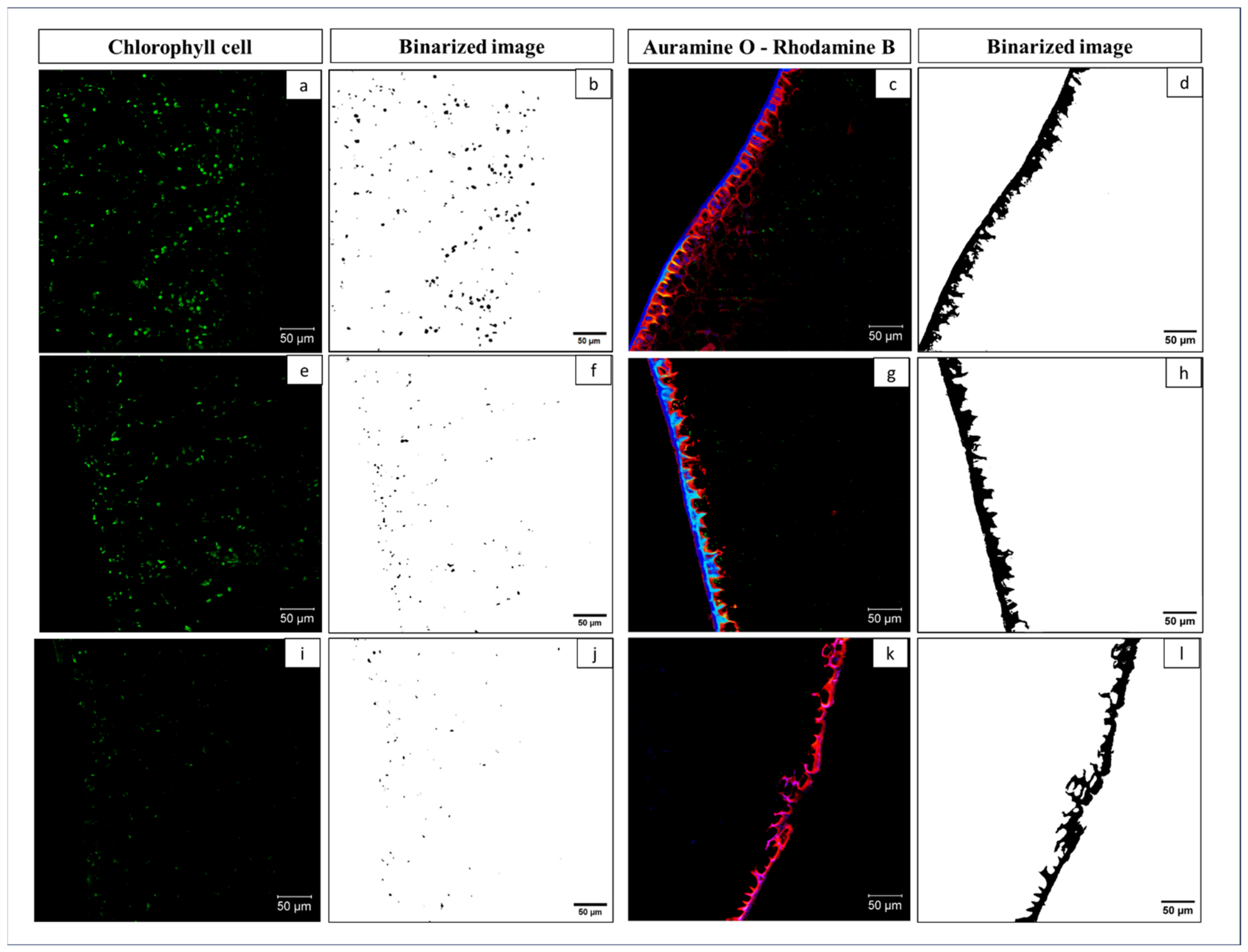 Molecules 31 03280 g003