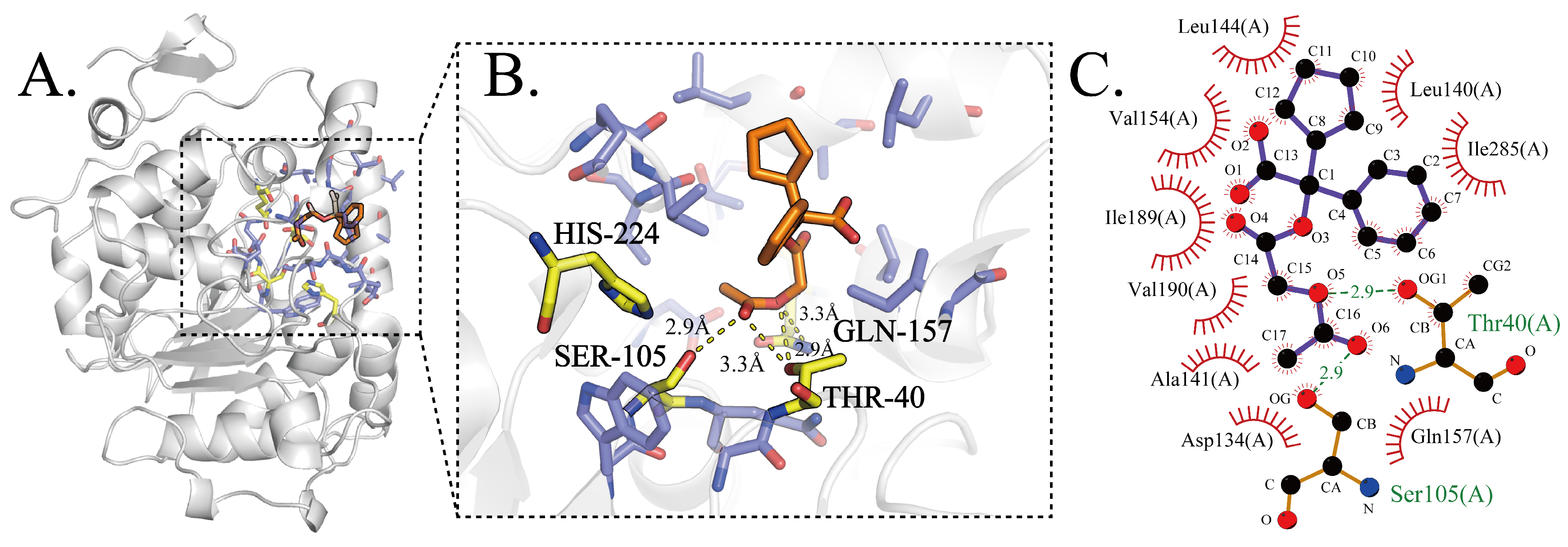 Molecules 31 03290 g002