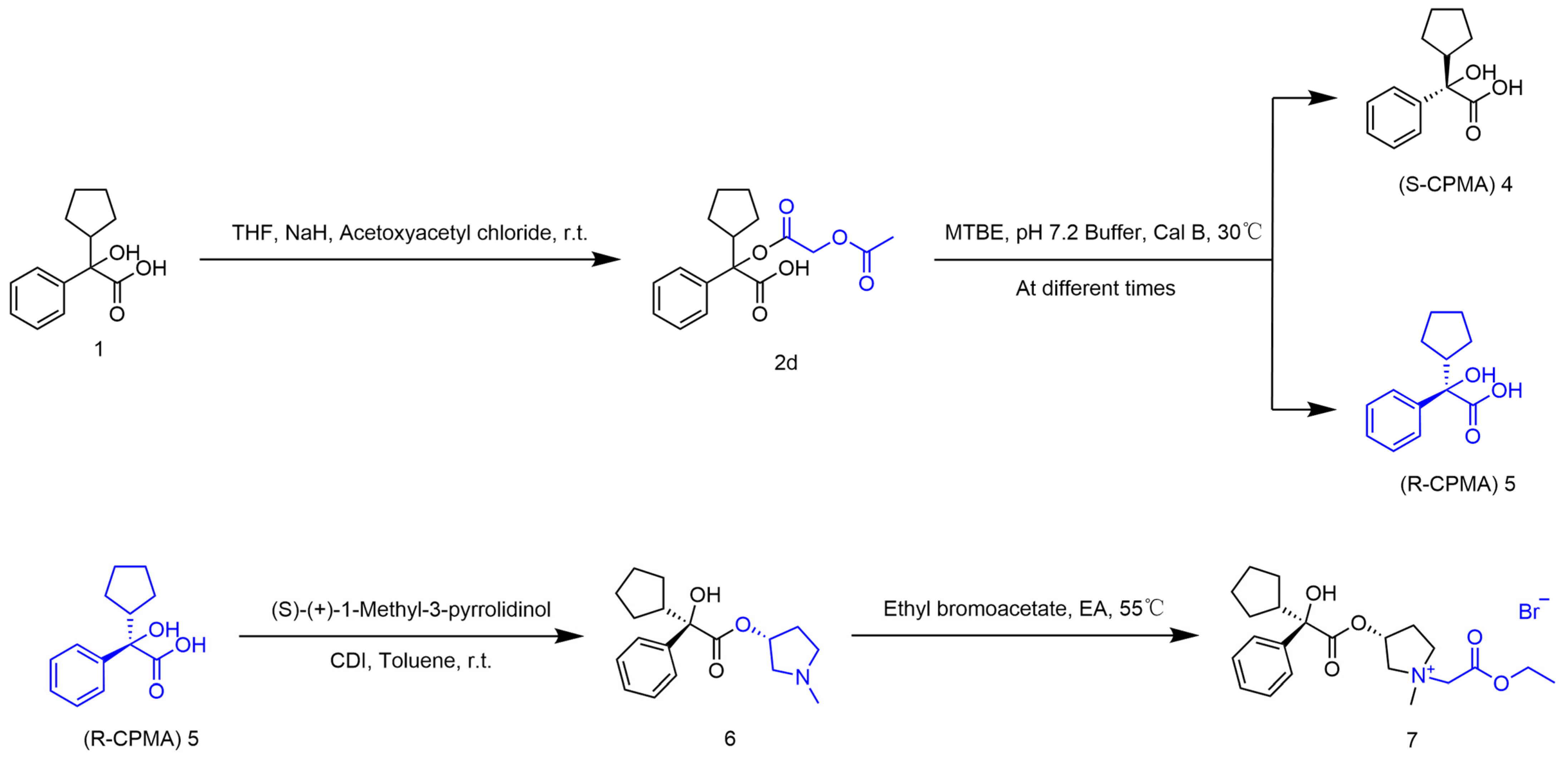 Molecules 31 03290 g006