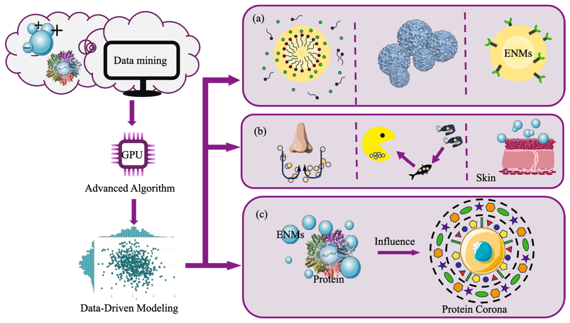 Molecules 31 03293 g004