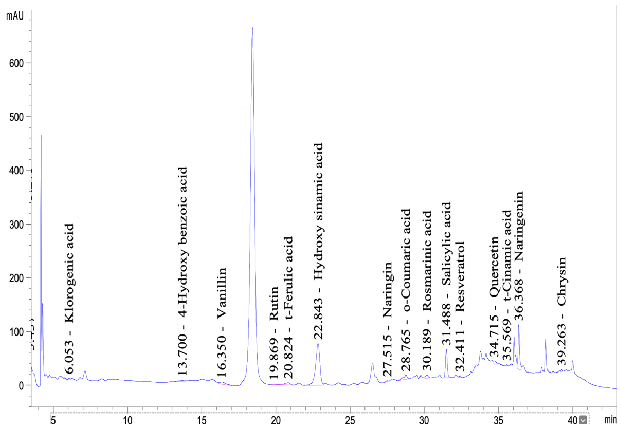Molecules 31 03300 g001