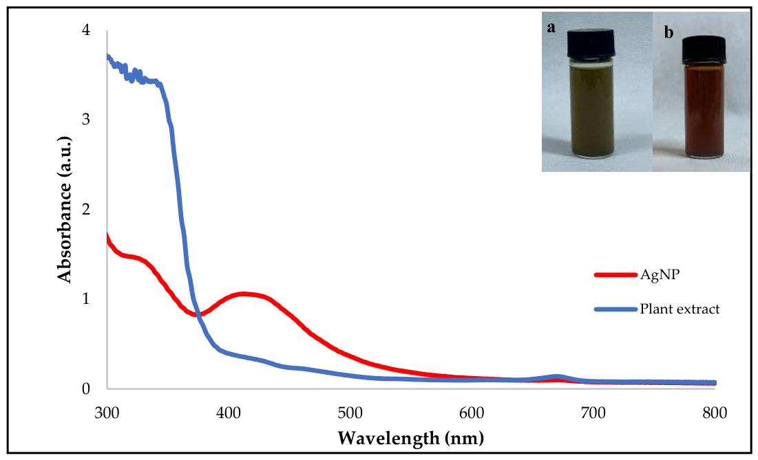 Molecules 31 03300 g003