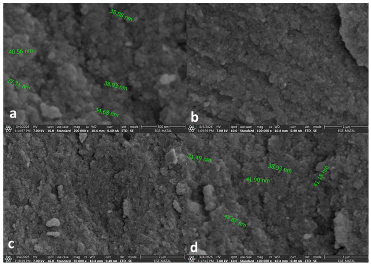 Molecules 31 03300 g005