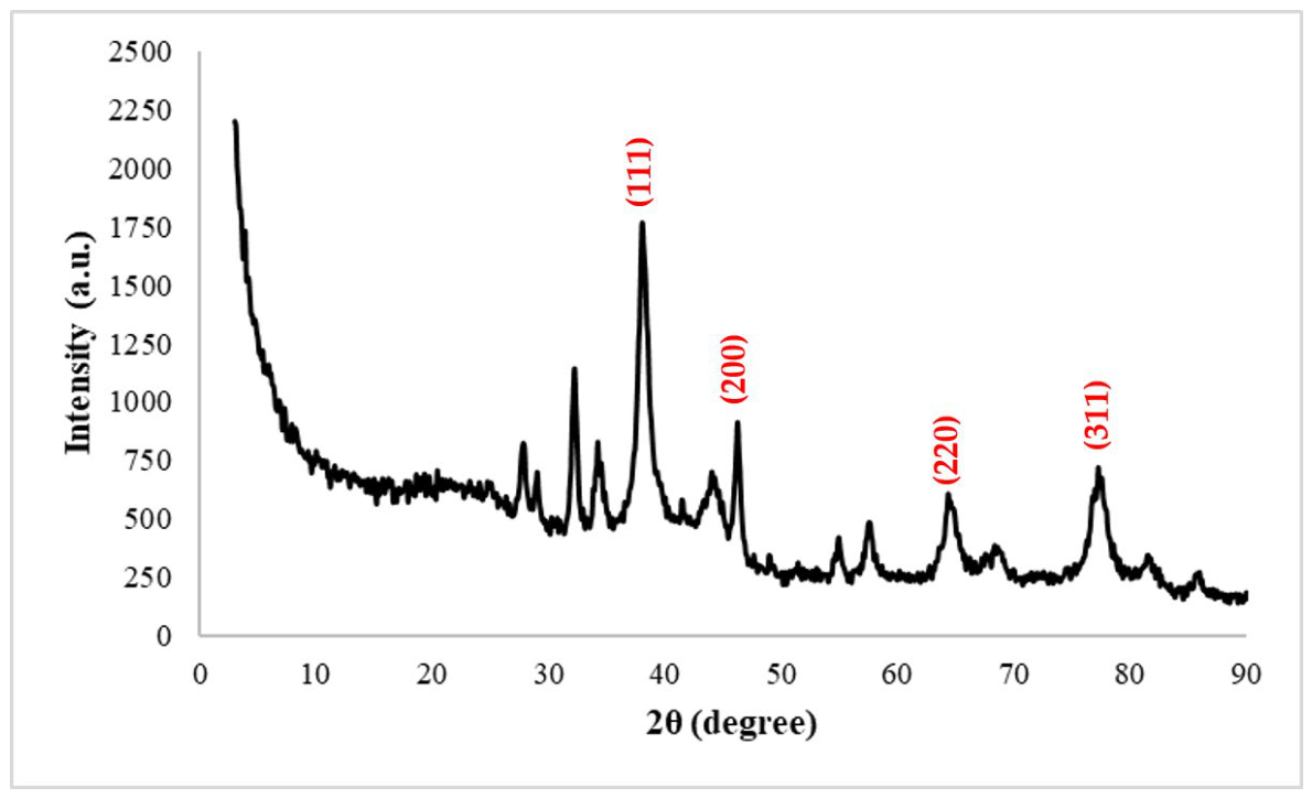 Molecules 31 03300 g008