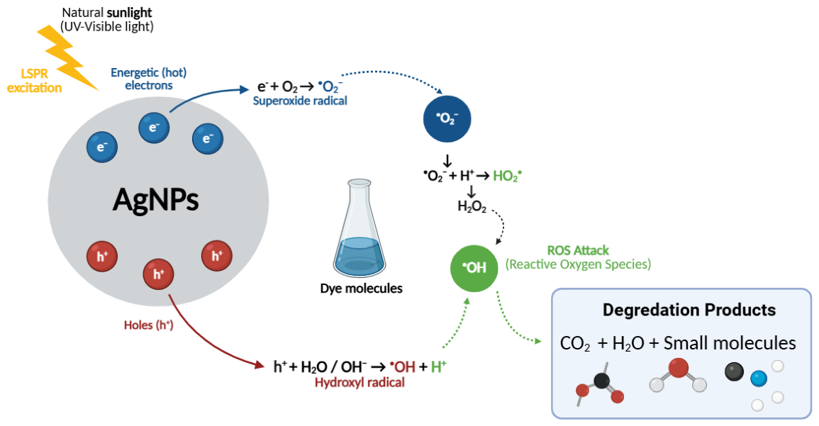 Molecules 31 03300 g010