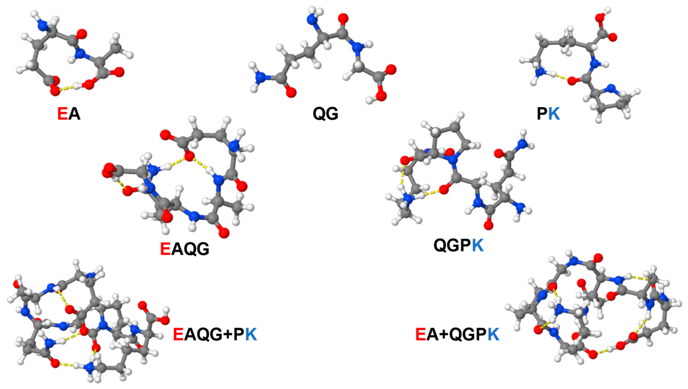 Molecules 31 03378 g009 Molecules 31 03378 g009