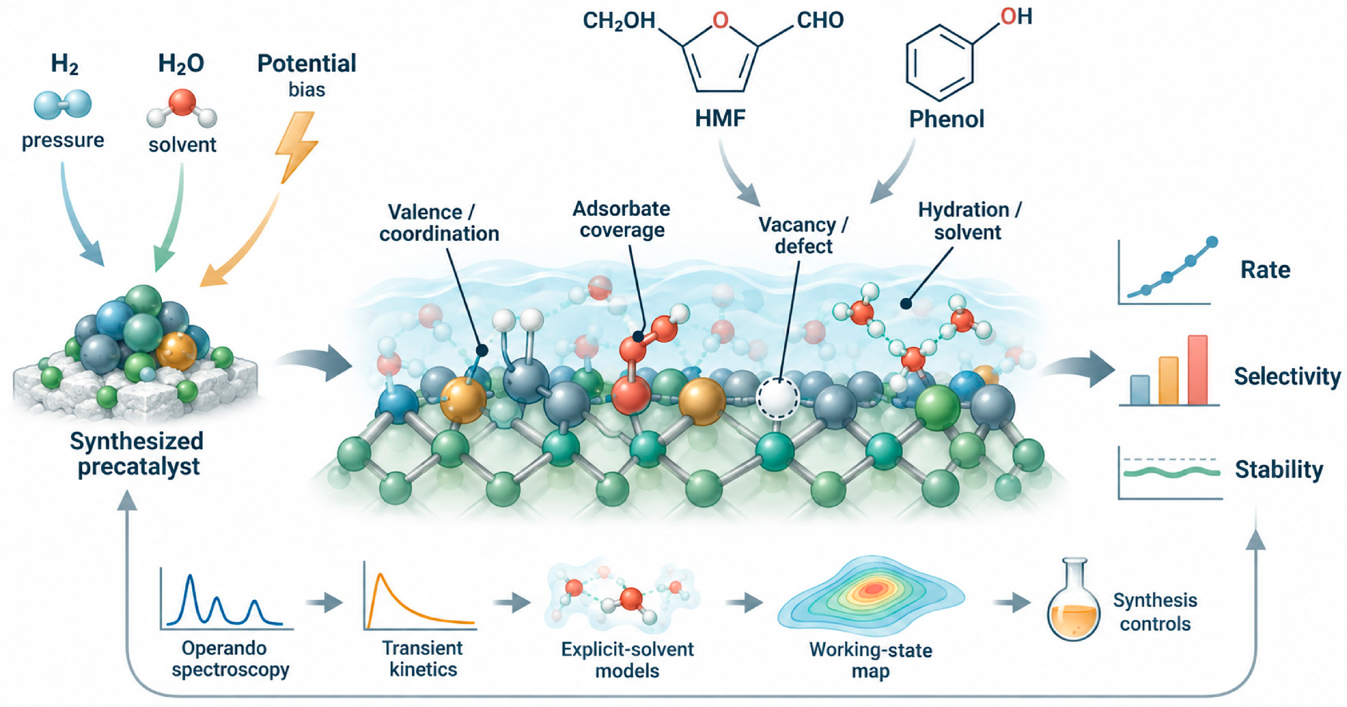 Molecules 31 03498 g001 Molecules 31 03498 g001