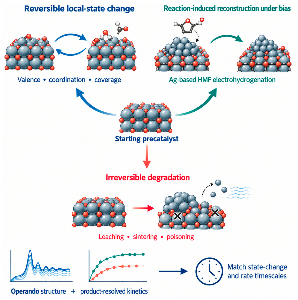 Molecules 31 03498 g002 Molecules 31 03498 g002