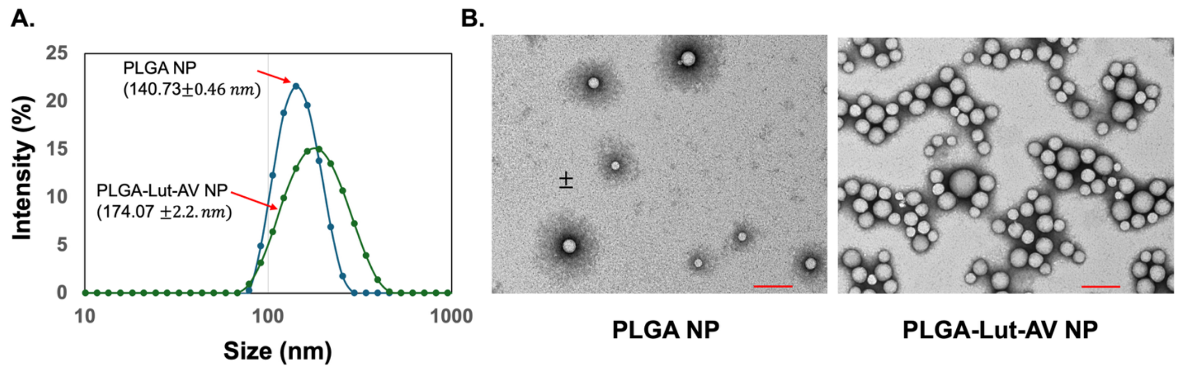 Molecules 31 03511 g001 Molecules 31 03511 g001