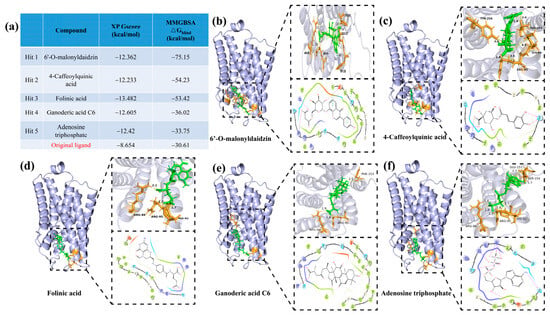 Research on the Intervention of Bile Stasis-Induced Pruritus Using ...