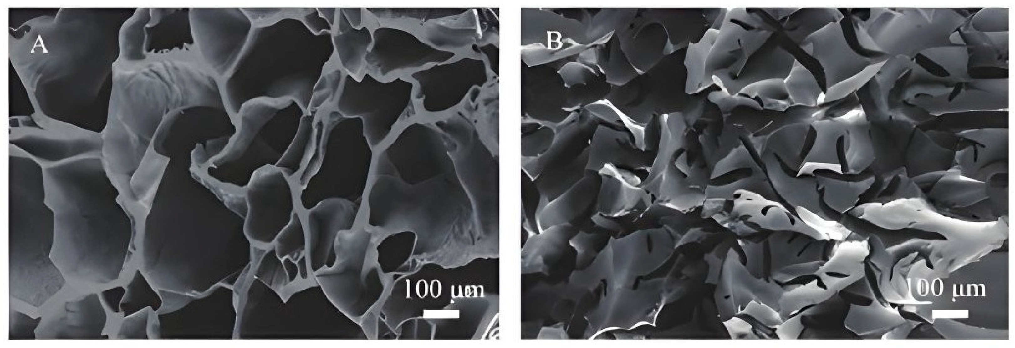 Molecules 31 03643 g003 Molecules 31 03643 g003