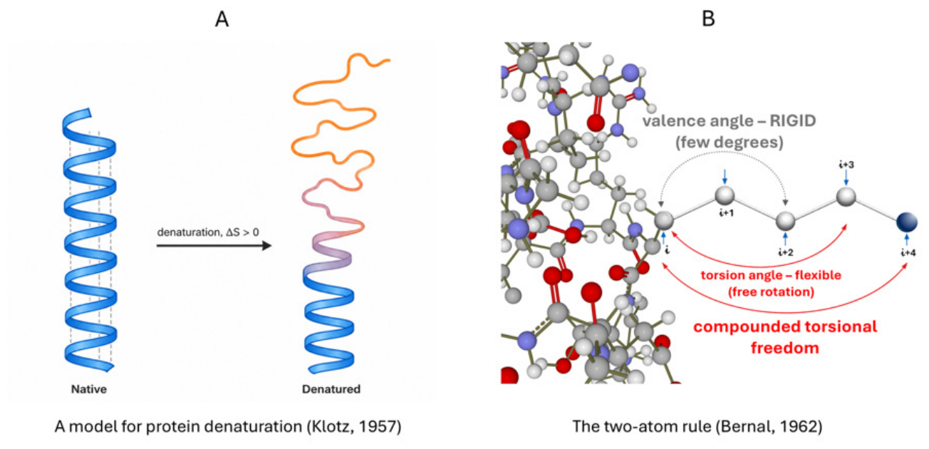 Molecules 31 03662 g005 Molecules 31 03662 g005