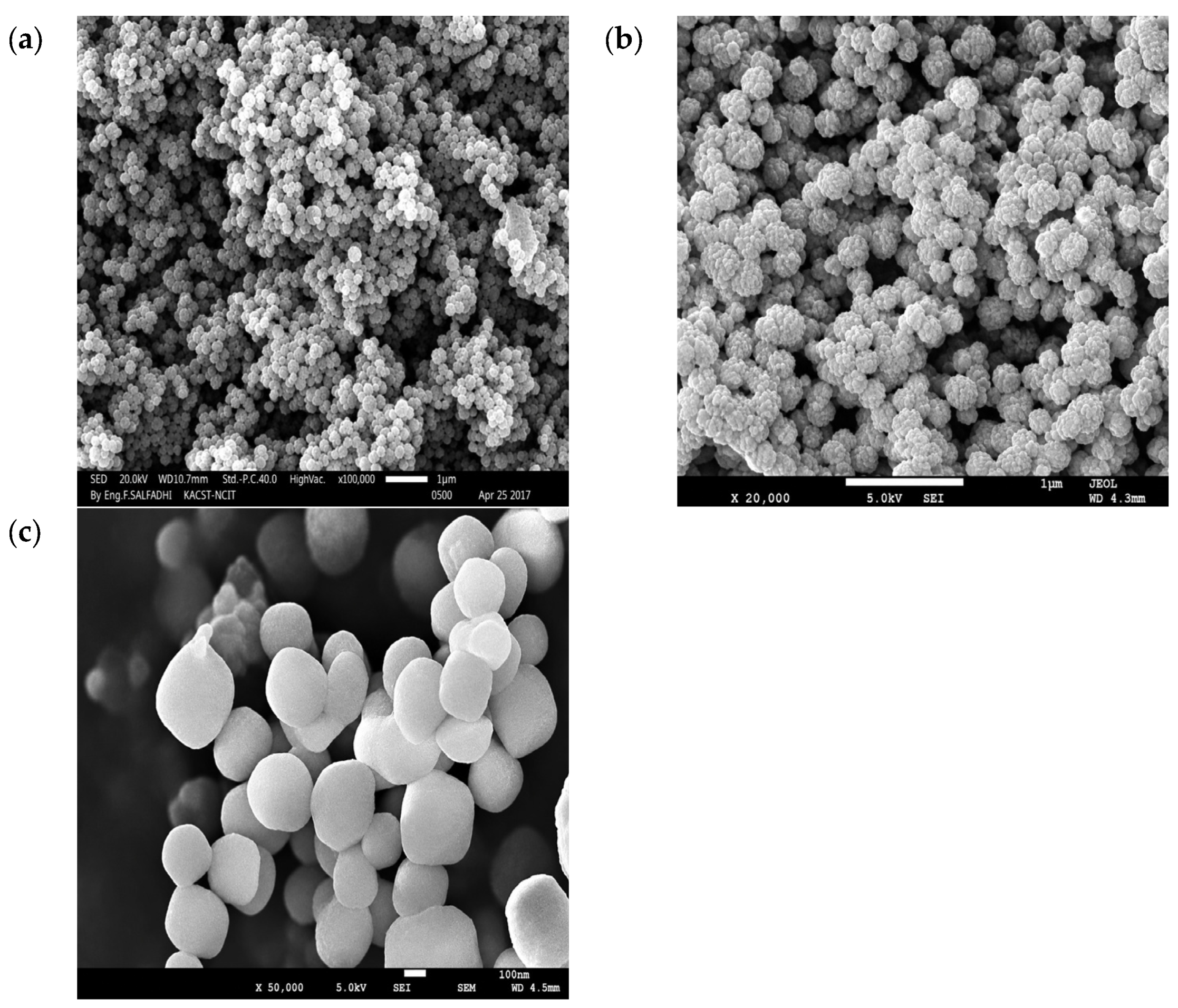 Molecules 31 03664 g001