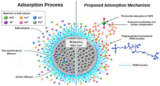 Molecules 31 03664 g010