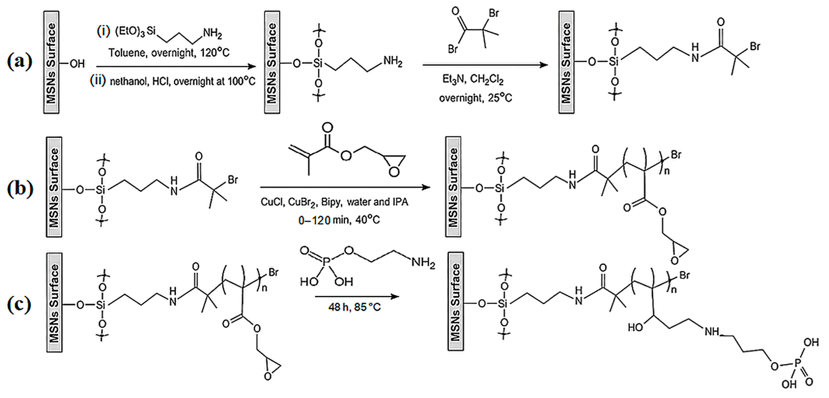 Molecules 31 03664 g011